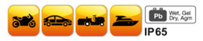 Electronic Car/Motorcycle Battery Charger 6V/12V 1A - 8A 4Ah - 160Ah - Beta Tools 1498/4A - Image 5