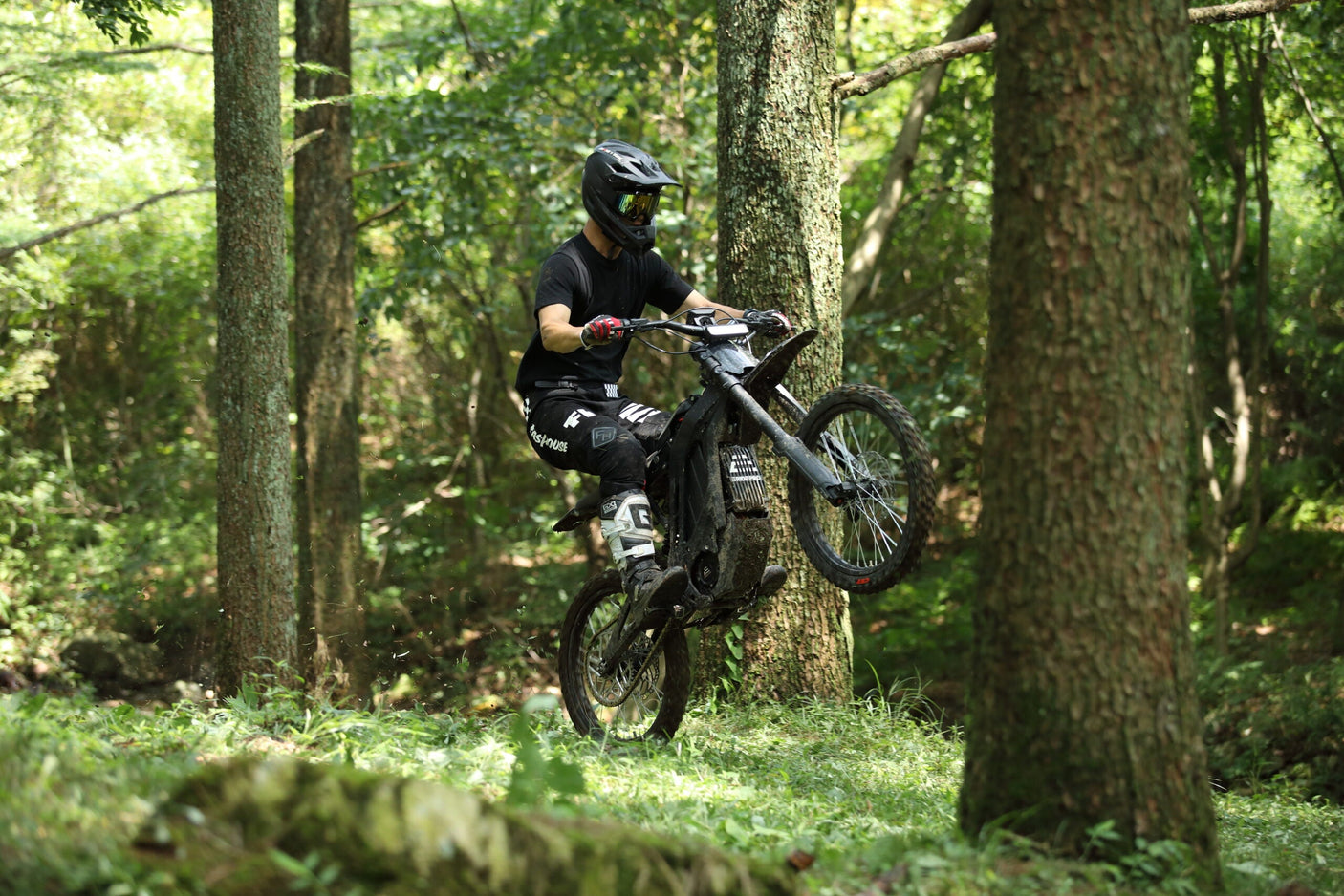 E Ride Pro S (17″): Compact Powerhouse for Versatile Off-Road Thrills