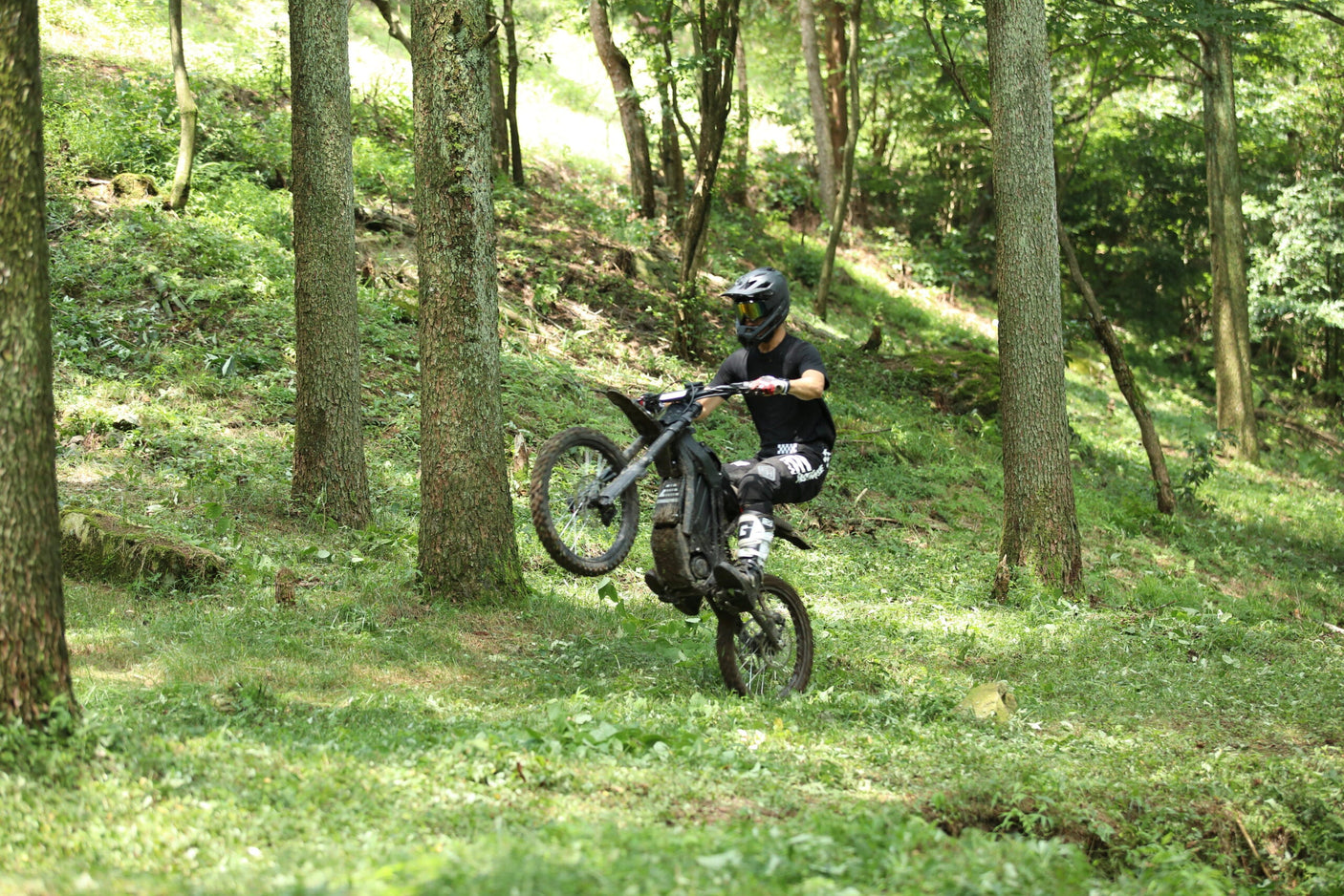E Ride Pro S (17″): Compact Powerhouse for Versatile Off-Road Thrills